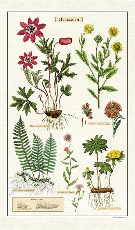 Cavallini - 100% Natural Cotton Vintage Tea Towel - 80 x 47cms - Herbarium