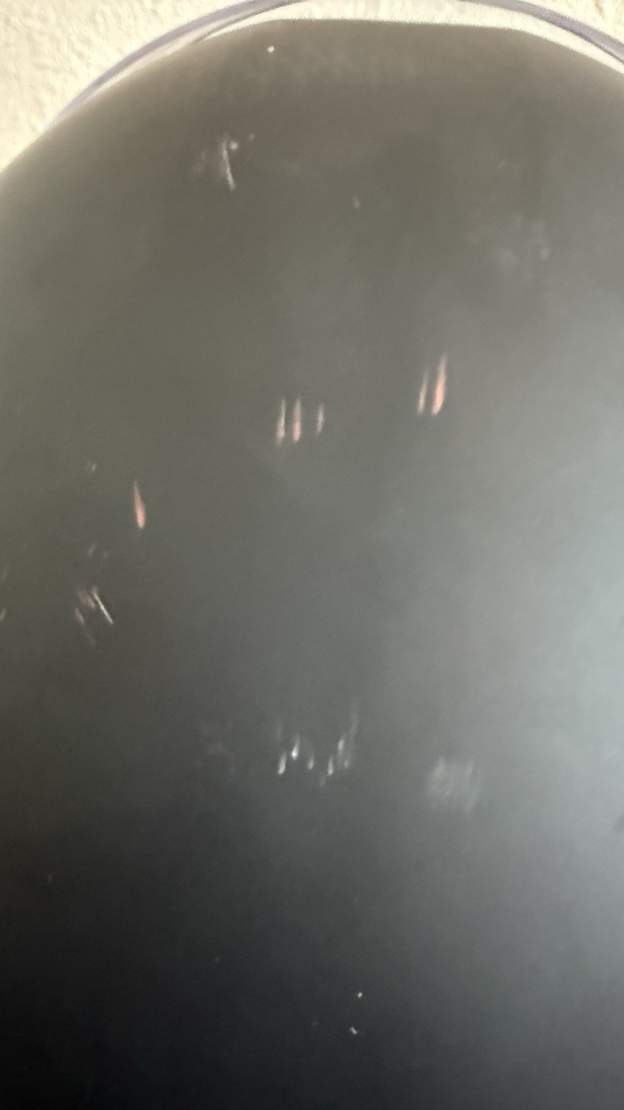 Picture 11 of 13