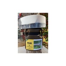 Procesan Collare Trappola Processionaria del Pino | Taglia L(200CM) / XL(400CM)