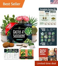 Cactus & Succulent Seed Kit: 4 Planters, Seeds & Easy Care Instructions