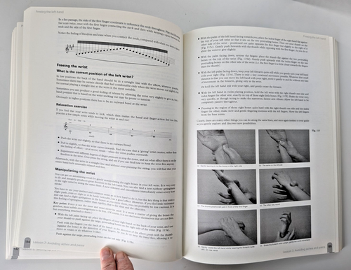 The Violin Lesson Simon Fischer Teaching & Self Teaching Violin Paperback 2013 - Imagen 16 de 21