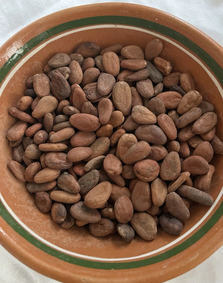 GRIOS DE CACAO 100% ORGÁNICOS Ligeramente Tostados de México Ceremonial Sin Endulzar 1 LB Foto 4 de 4