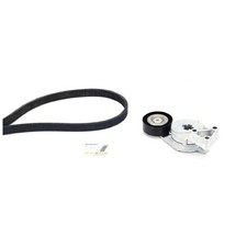 Keilrippenriemensatz für Seat Alhambra 7V8 Cordoba 6K1 Ibiza 2 Leon 1M1 | 56629