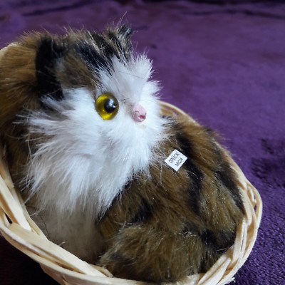 Katze im Korb die miaut. Aus Deutschland. Nagelneu und unbenutzt