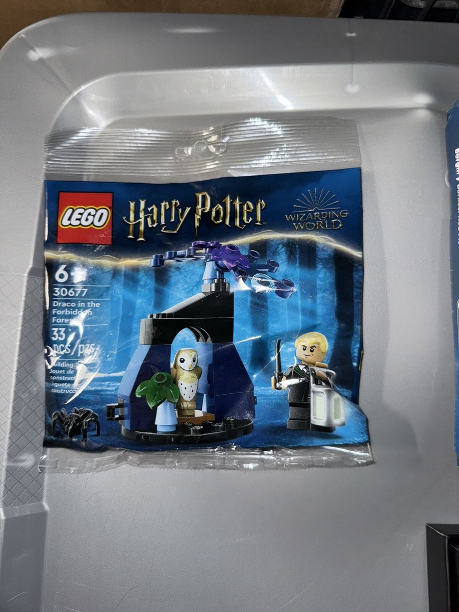 LEGO Harry Potter: Harry Potter & Hermione Granger (76393) for