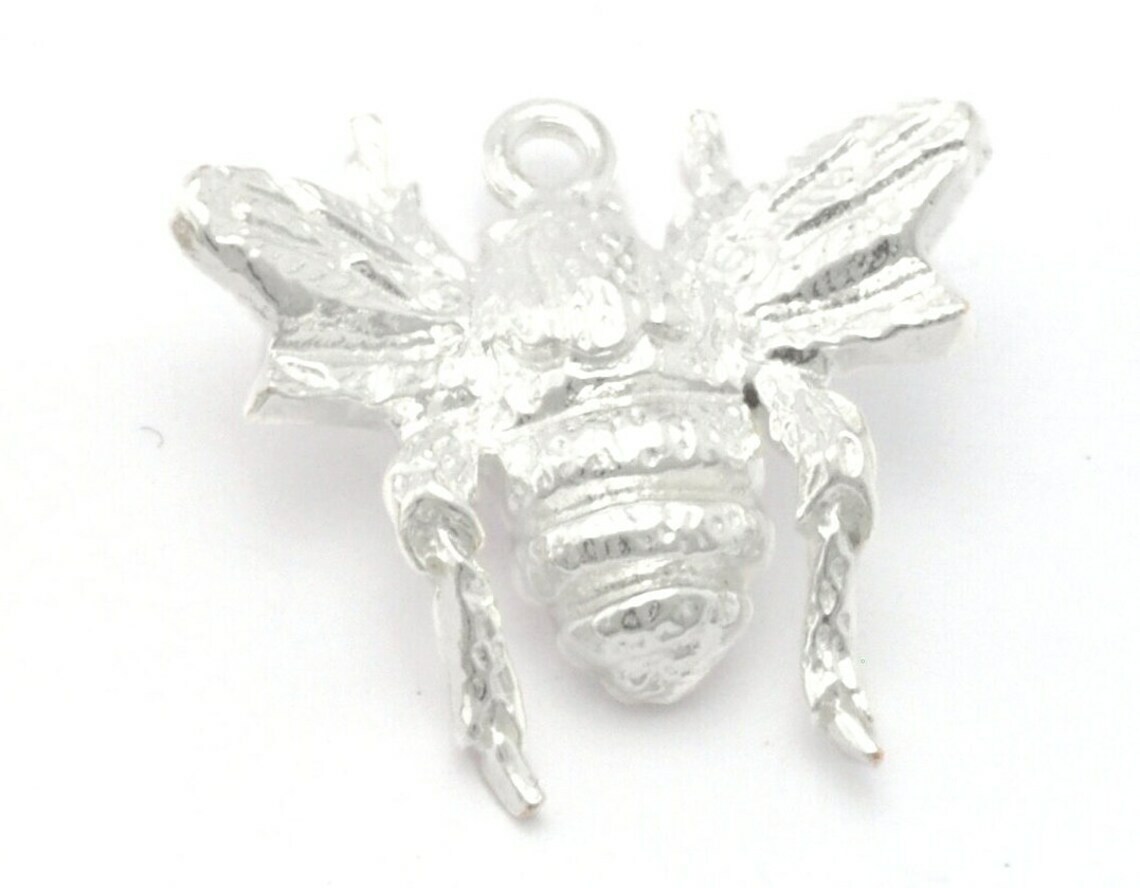 Picture 6 of 6
