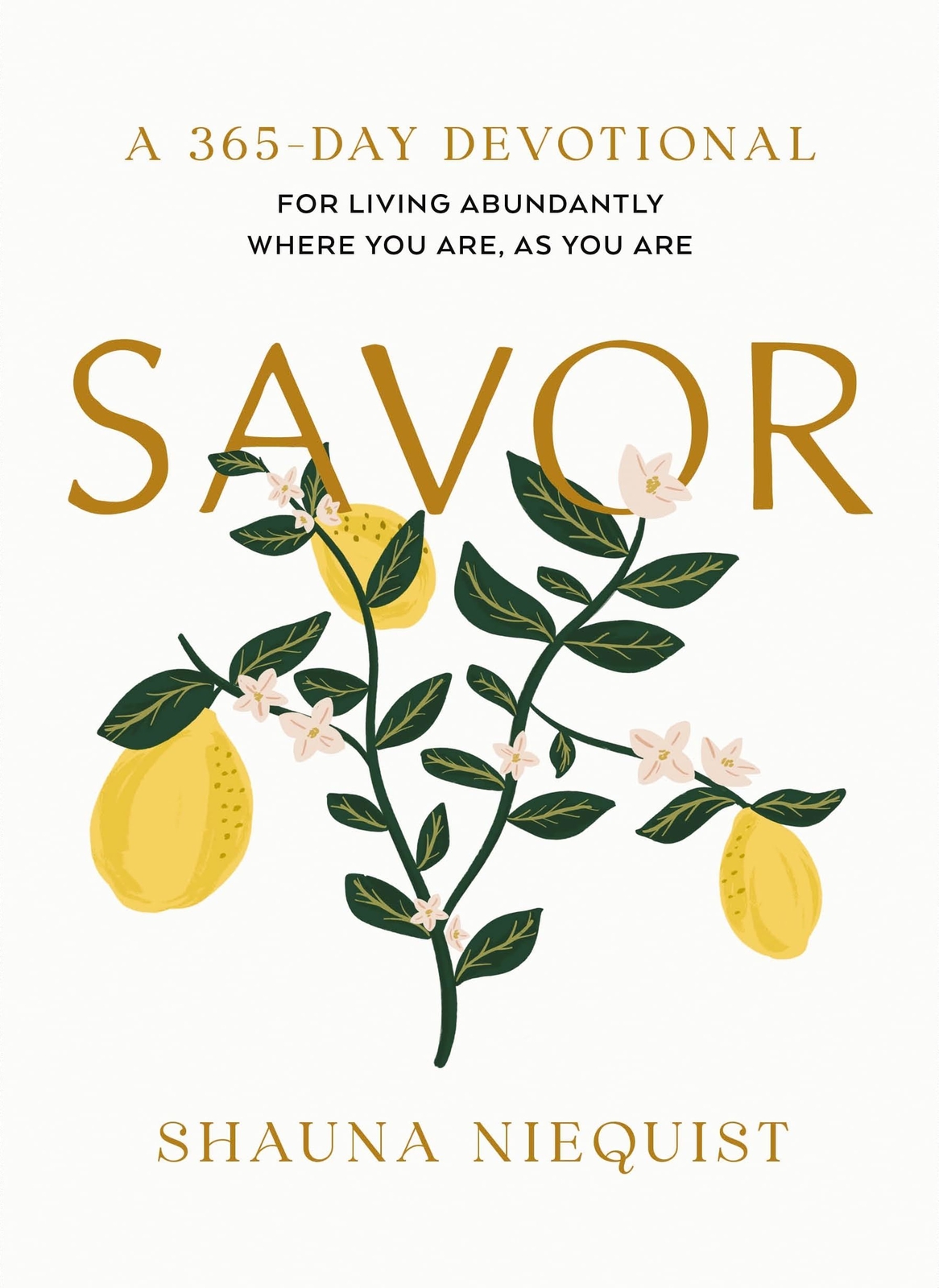 Savor: Living Abundantly Where You Are, As You Are (A 365-Day