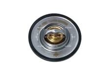 Thermostat Ford ORION