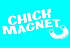 Imagine This V0851 Car Window Decal U Chick Magnet