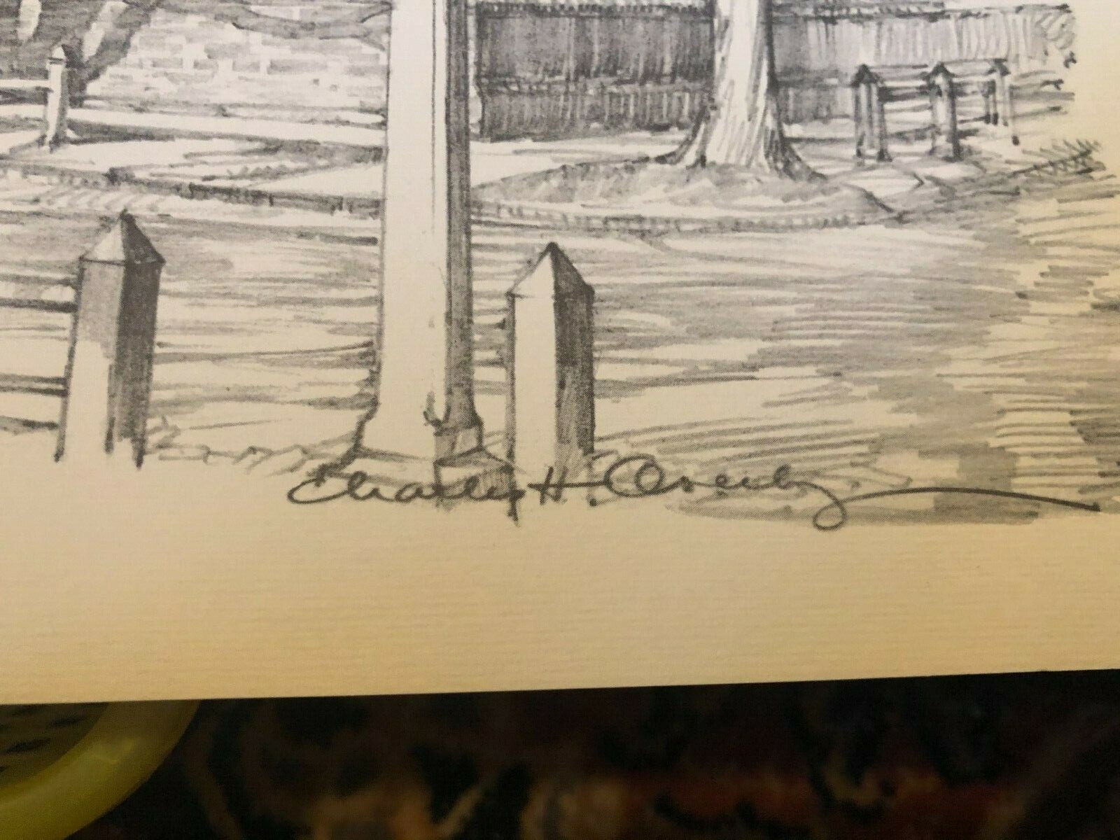 Picture 8 of 8