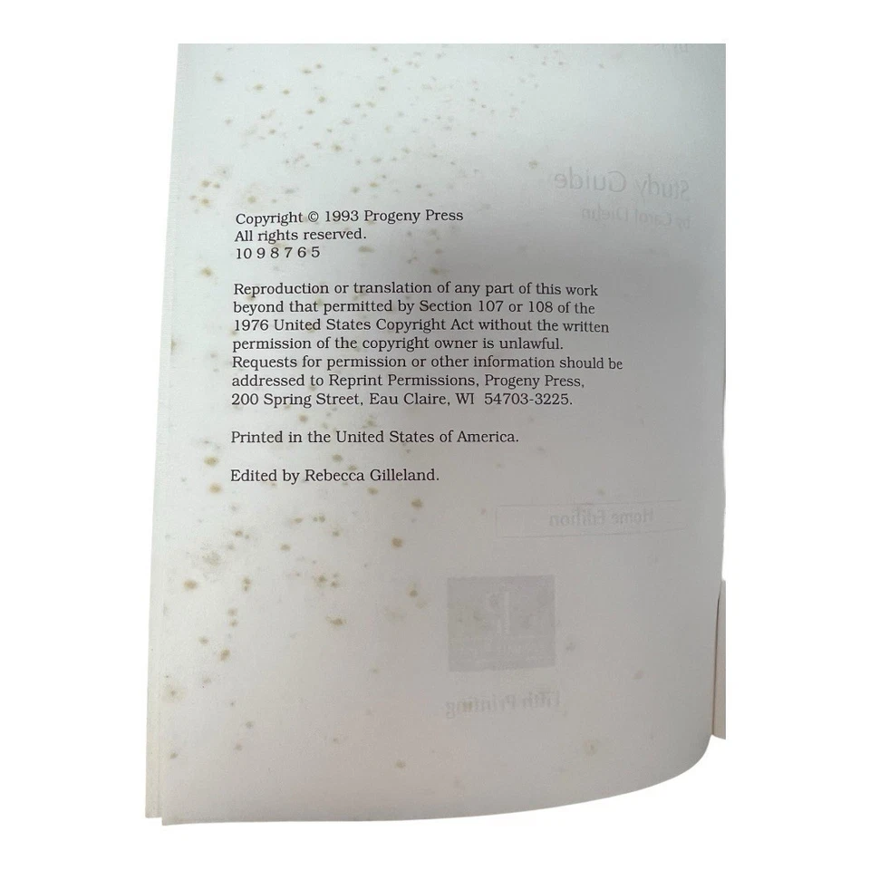 The Bridge Study Guide By Carol Diehn Home Edition~1993 Progeny Press #201H P502 - Image 3 of 4