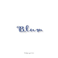 Wolfgang J. Caha | Blum | Buch | Deutsch (2013) | 64 S. | Books On Demand Gmbh