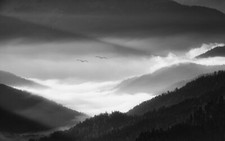 Landscape nature morning mist alps mountains forest Custom Gaming Mat Desk