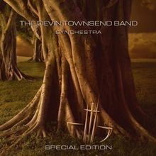 Synchestra/Ltd. (CD + DVD) von Townsend,Devin,Band | CD | Zustand gut