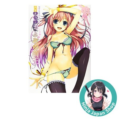MOEOH Selection Art Book More Otonano Moe King Japanese Book USED