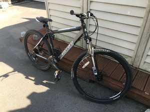 carrera vengeance mens mountain