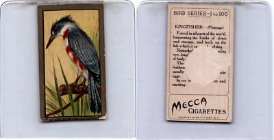 birds of a feather tobacco series T42 American Tobacco, Birds, 1910, Kingfisher (B)