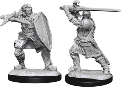 Dungeons & Dragon D&D Nolzur's Marvelous Miniatures Human Male Paladin 90220