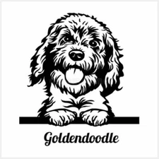 Vinyl Decal  - Golden Doodle Puppy (May Customize w/ Name) Various Colors Sizes