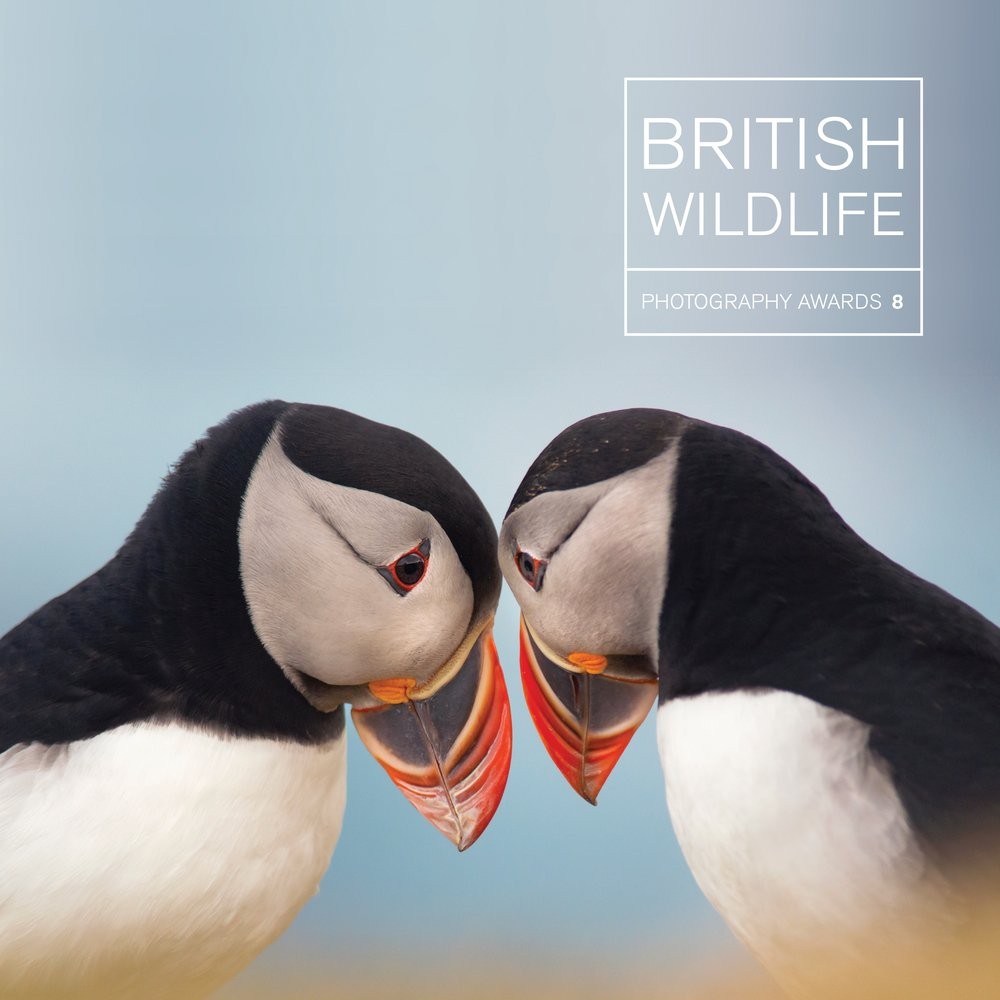 British Wildlife Photography Awards 8 [hardcover] Maggie Gowan [Nov 07, 2017]