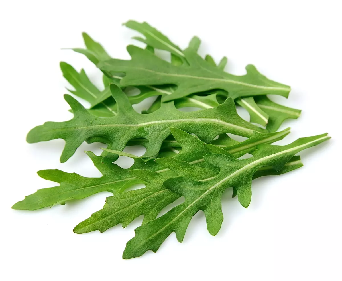 Roquette Arugula (Eruca vesicaria)