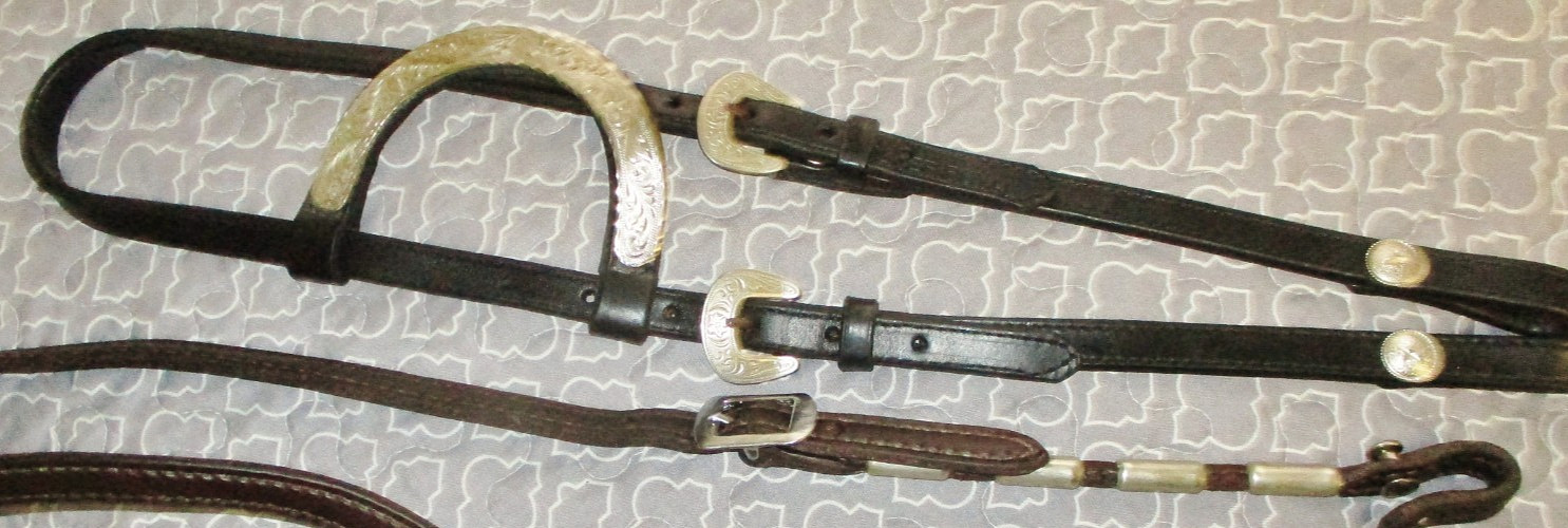 Silver Royal Classic Silver one Ear Show Headstall-Performance-Barrels-Training