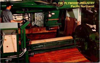 #ad FIR PLYWOOD INDUSTRY Pacific Northwest Vintage Postcard $14.50