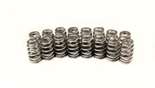 VALVE Springs Set/16 for SOME 2009-2023 Ram 6...