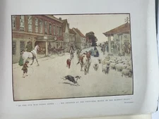 BLACK BEAUTY - ANNA SEWELL - ILLUSTRATED BY 18 COLOUR PLATES BY CECIL ALDIN