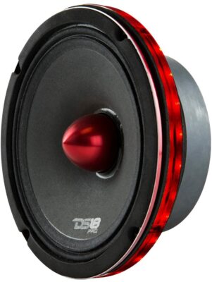 DS18 LRING10 10'' RGB LED Ring for Speaker and Subwoofers
