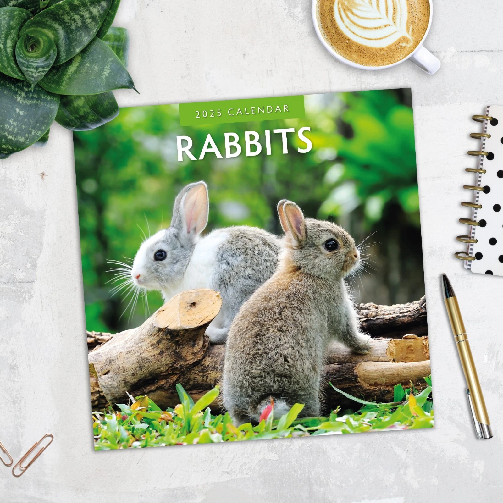 Rabbits 2025 Square Wall Calendar