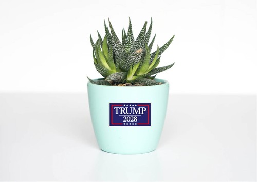 Trump 2028 Decal Sticker Political MAGA Jr Third Term President DJT Vote Fight - Picture 8 of 8