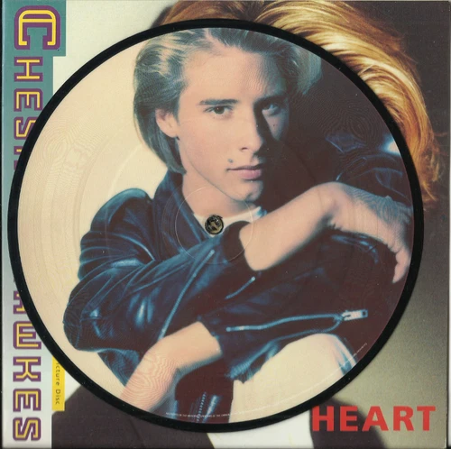 CHESNEY HAWKES secrets of the heart 1991 7" single g/f PIC DISC CHRYSALIS Vinyl