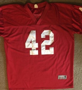 ronnie lott jersey