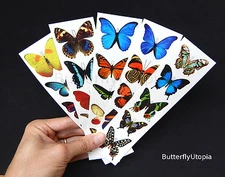Temporary Fake Butterfly Tattoos - 5 sheets (25 tattoos), Colorful Butterflies
