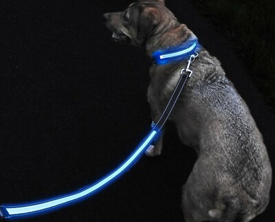 ruff dog leash