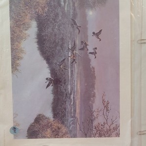 Ray Harm Ducks in Flight Landscape Marsh Scene Unframed Paper Art Print, Nature