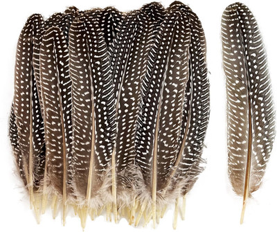 6-9 Inch Natural Guinea Wing Plumage Feather for DIY Craft  Jewelry and Clothing