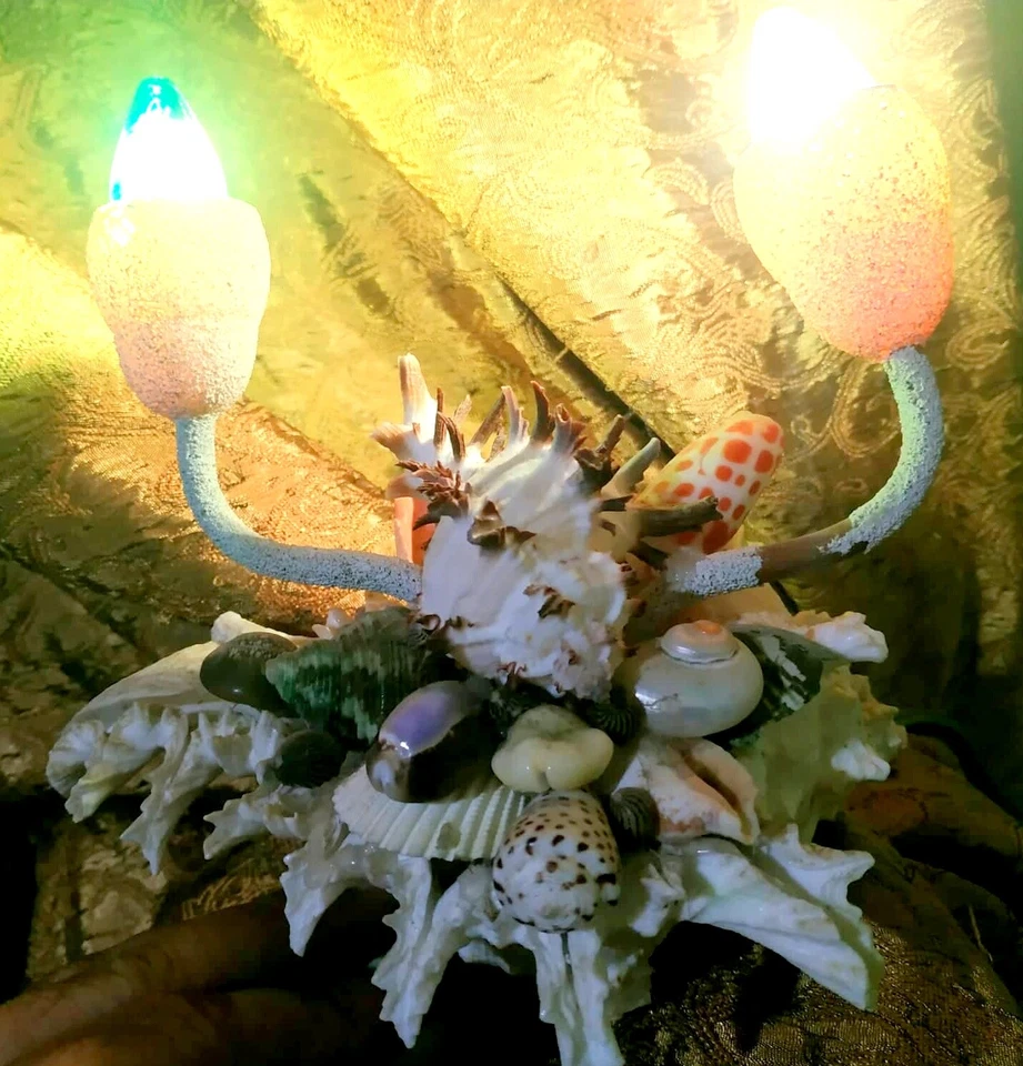 Conchas de playa vintage concha nocturna mar decoración hecha a mano 2 luces náuticas Foto 3 de 4