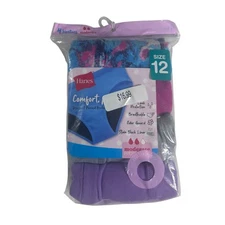 Hanes 4 Pack Panty Hipster Period Protection Leak Protection Size 12 NEW