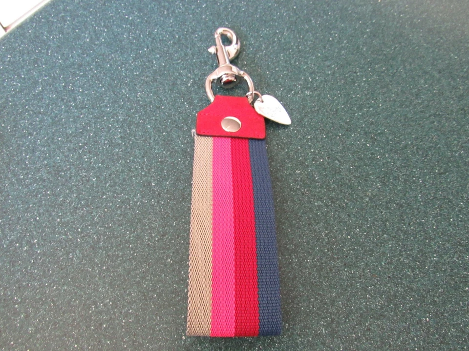 Rebecca Minkoff LOVE Arco Iris Correa Llavero Monedero Dije Foto 2 de 3