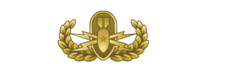 4" us military eod explosive ordnance disposal senior gold badge decal usa made