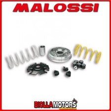 5116674 VARIOMATIK MALOSSI VESPA PRIMAVERA IGET 125 IE 4T EURO 4 2016-> MULTIVAR