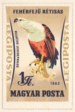 🚀 Vintage 1962 Hungarian Stamp Poster - 24x36” - 200gsm Paper🗞️ Hi-Res💎 Print