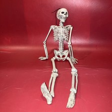 Spooky Halloween Skeleton 17 Inches Tall