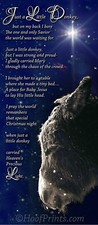 Just a Little Donkey Christmas Cards "I gladly carried Mary through the chaos...