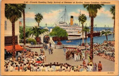 Postcard Crowds Greetings Daily Arrival Of Steamer At Avalon Santa Catalina 1940