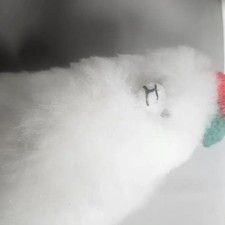 Comballey Large Alpaca Plush Doll - 23cm, Pre-Owned