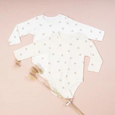 Organic Cotton Bodysuits Set of 2 Acorn