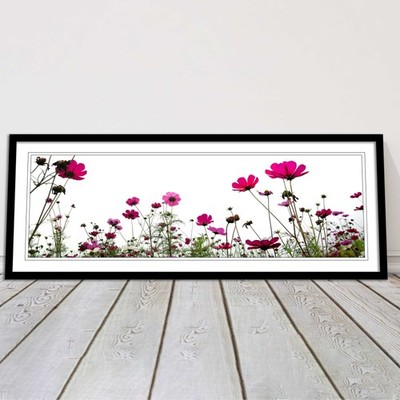 Rosa Wildblumen auf weißem Hintergrund. Panorama gerahmter Bilddruck
